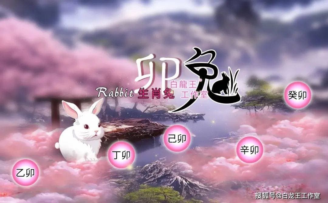 不同年份属兔人2025全年运势完整版