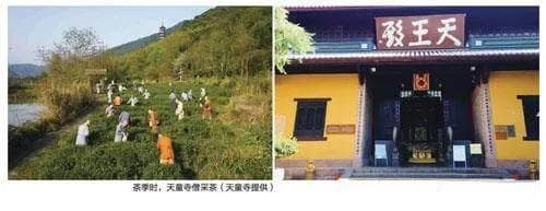 名冠中日的天童寺茶禅文化