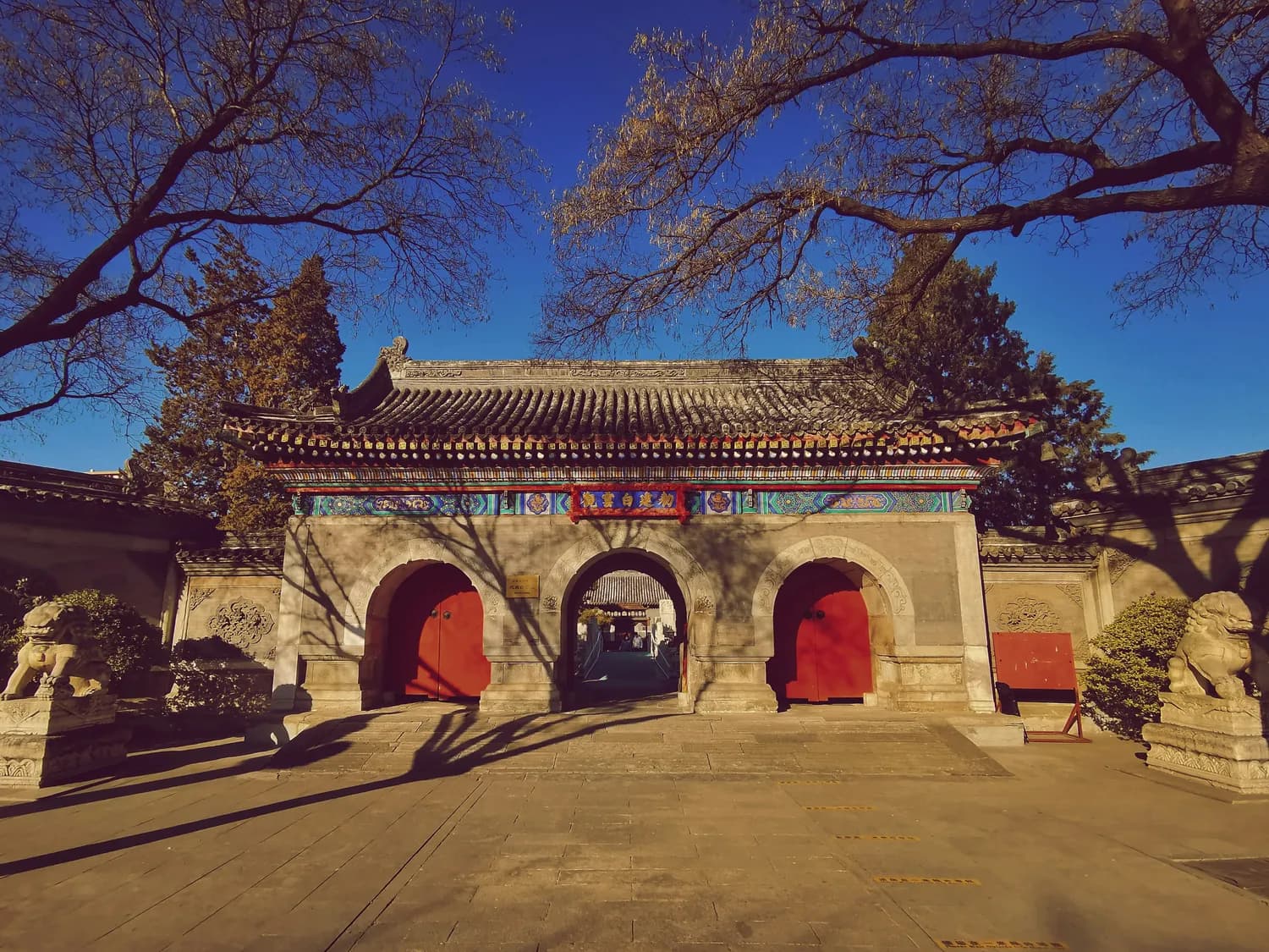 北师大：百年学府的辉煌历程
