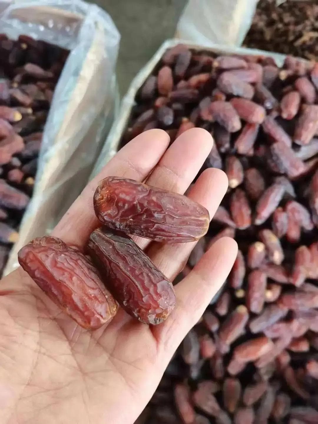被称“神赐的食物”！为什么中东土豪都喜欢椰枣？