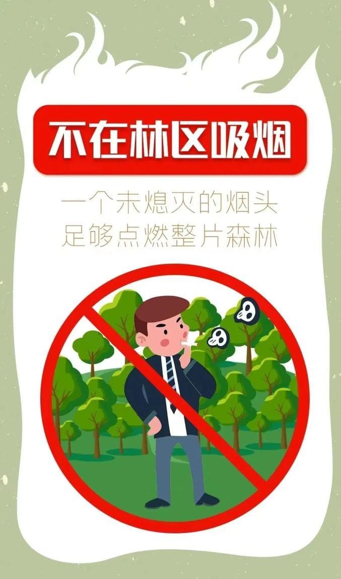 关于森林防火，这些知识很重要！