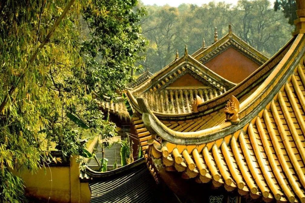 《心经》具备强大的心理疗愈功能，读得越多越好