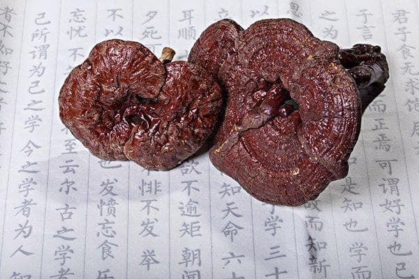 安胎的中药有哪些