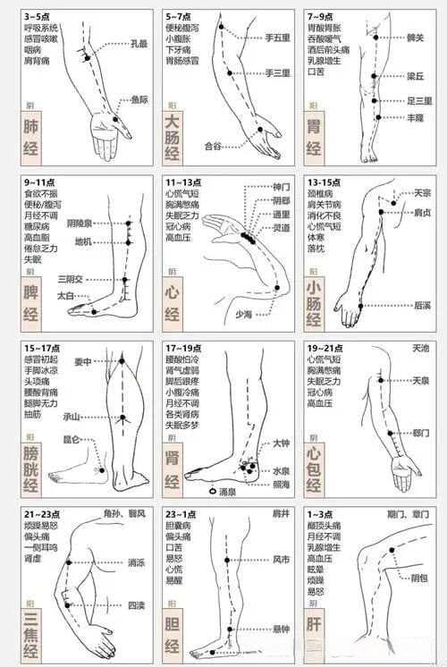 十二经脉表里关系与交接规律