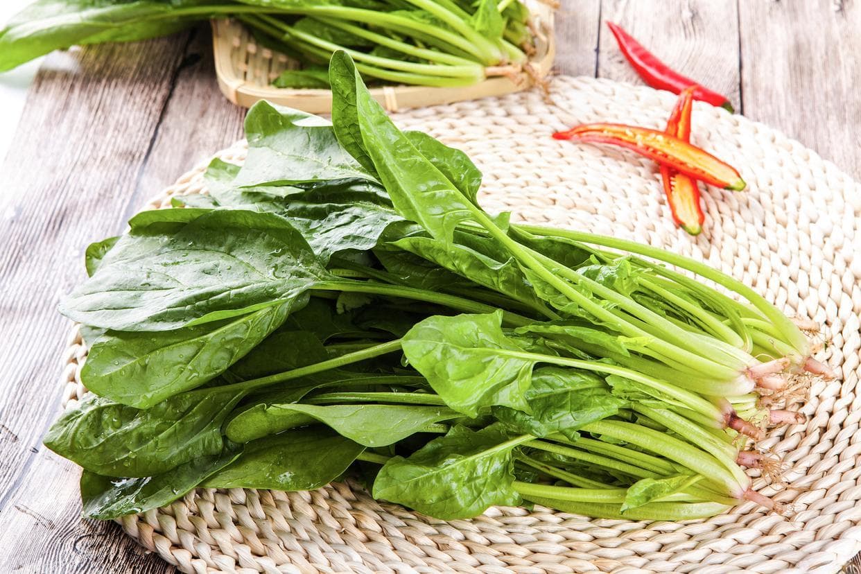 蓝莓、胡萝卜、菠菜……这些食物让眼睛更明亮