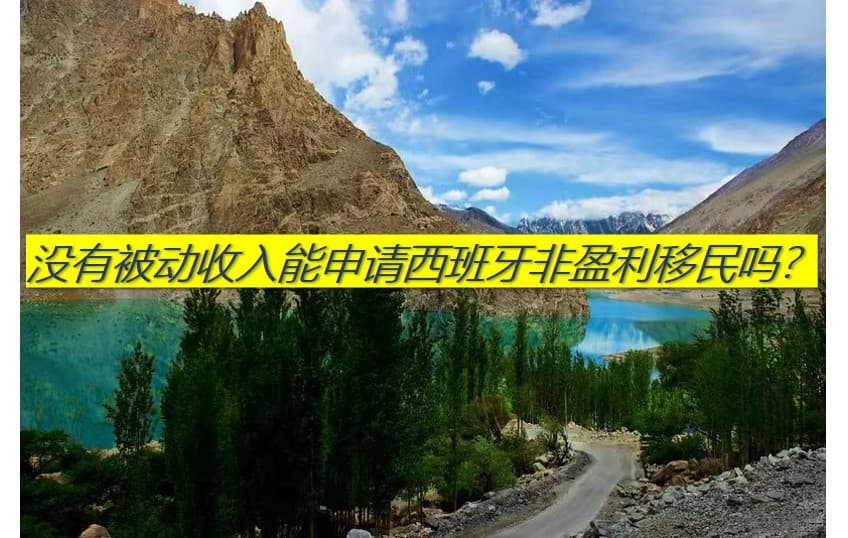 没有被动收入能申请西班牙非盈利移民吗？