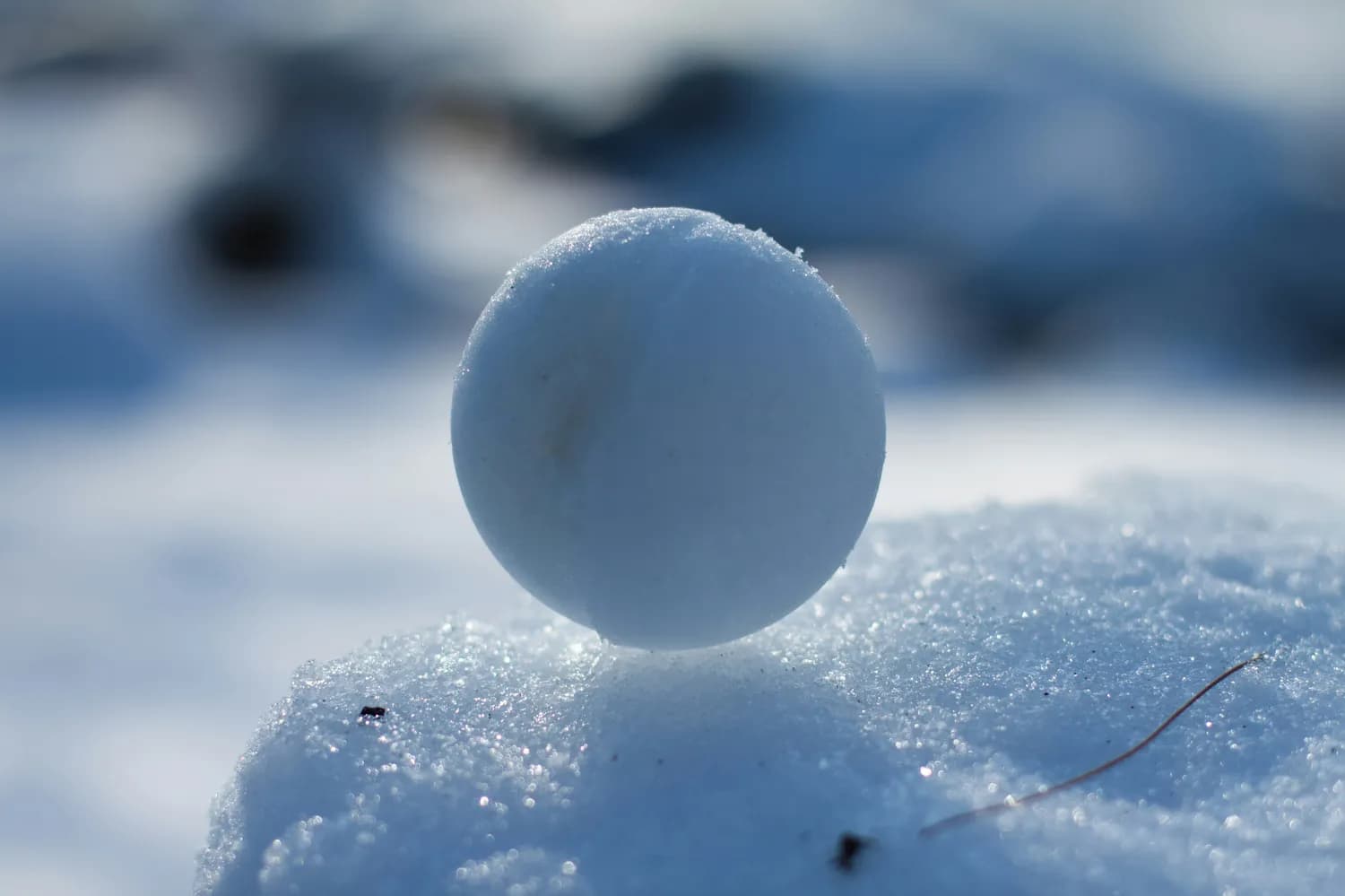 掌握打雪仗技巧，让你成为冬日霸主！