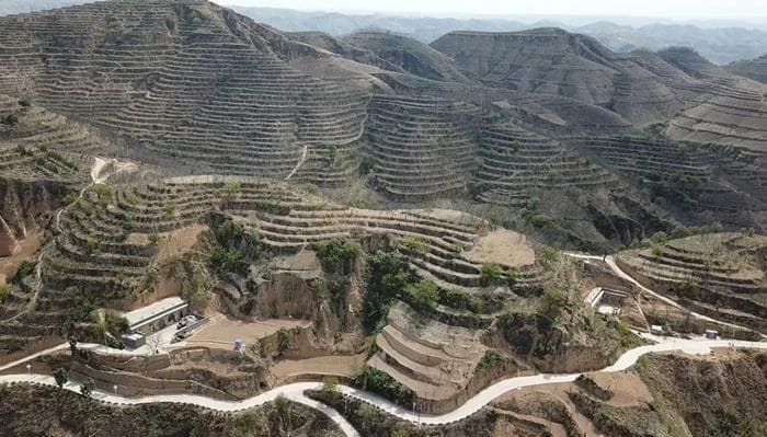 武乡炒指：一道加入黄土的非遗美食