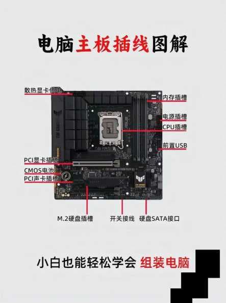 Win11系统如何查看主板型号？主板型号查询方法详解