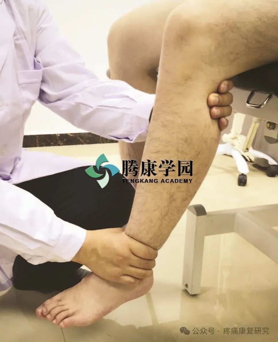 坐骨神经对臀、腿、足的运动支配、感觉支配及查体