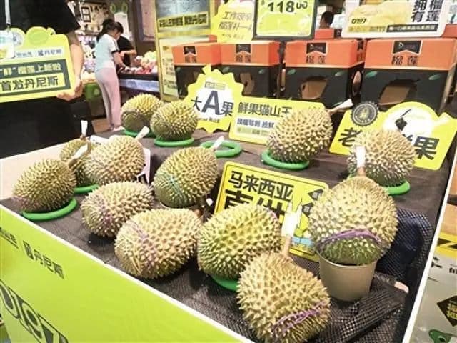 第二批马来西亚鲜食榴莲运抵中国，网上零售价每斤不过百