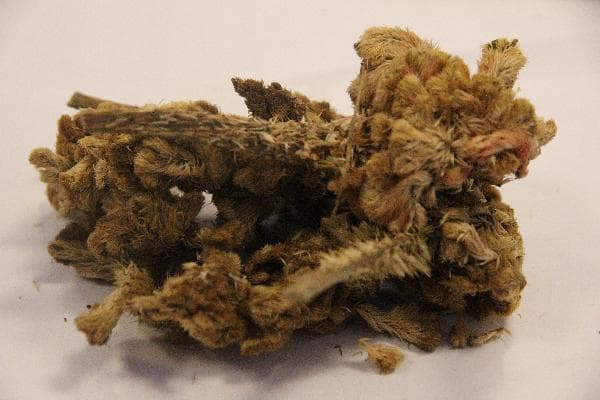 补气血的常用中药材有哪些？