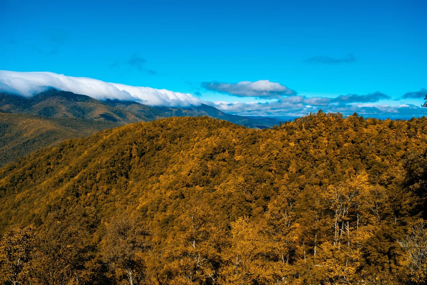 秋冬自驾游：沧源佤山最佳露营地推荐