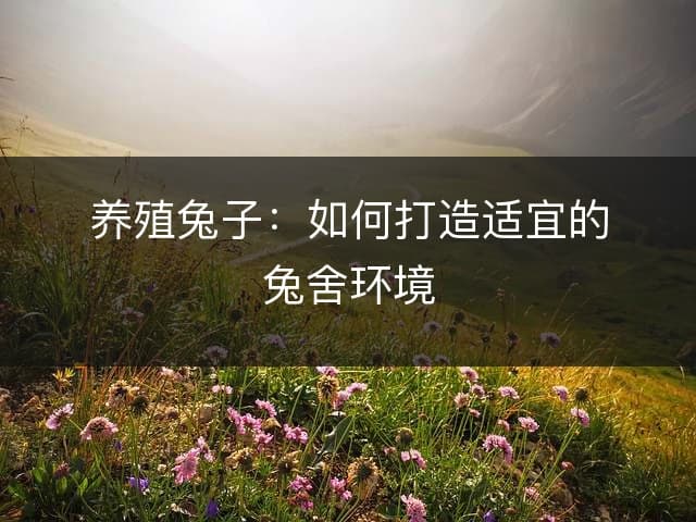 养殖兔子：如何打造适宜的兔舍环境