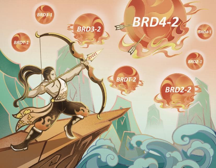 研究发现BRD4 BD2抑制剂有望用于治疗急性髓系白血病