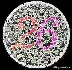 12张色盲色弱测试图，从简单到困难，看看你到第几层？