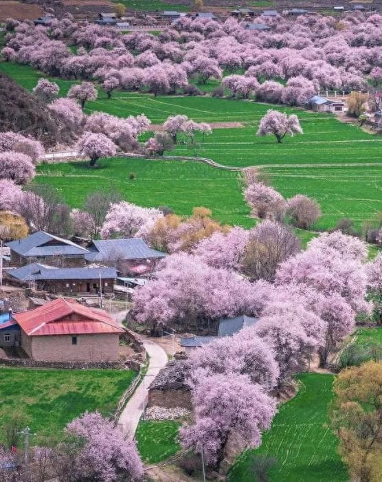 烟花三月下扬州，适合3月份出游的10大旅行目的地推荐