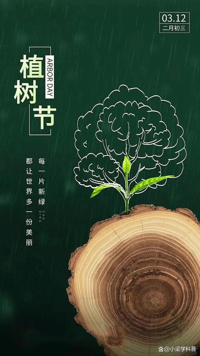 30秒了解植树节冷知识 历史与全球趣闻