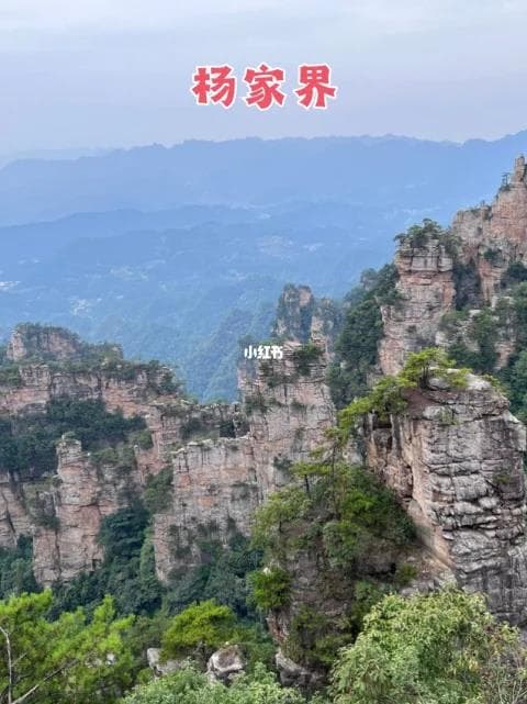 张家界国家森林公园两日游攻略：山上山下精华景点全览