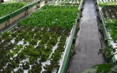 水产低碳养殖水质监测应用方案