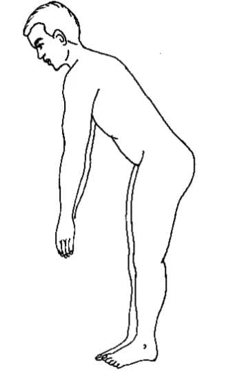 脊柱检查法：颈部、胸椎与背部、腰骶椎与腰骶部