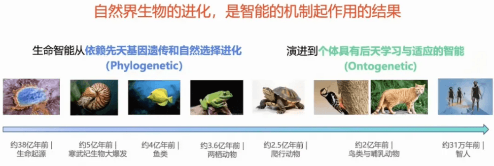 探索智能本质：技术智能的演进趋势
