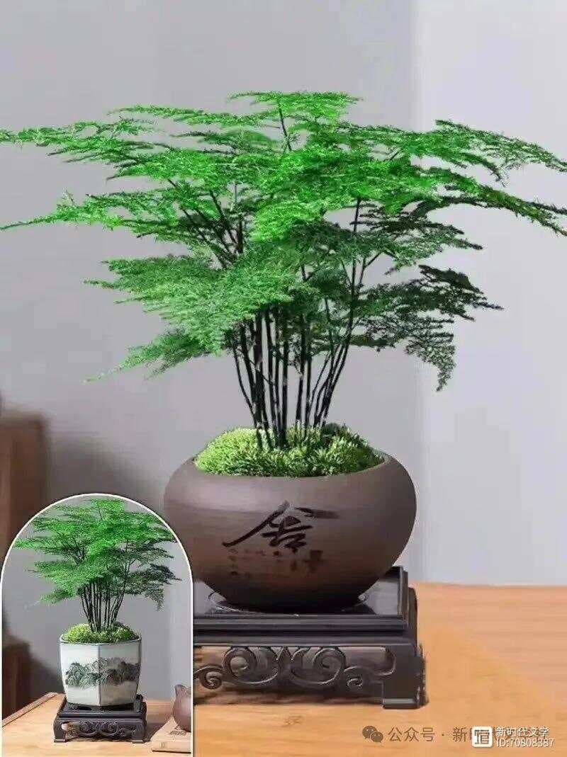 中华诗词大讲堂：常用对仗方法之十四——自对