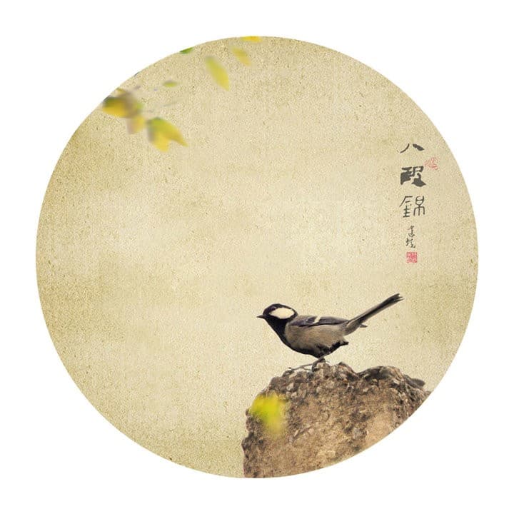 八段锦：流传八百年的中国传统养生功法
