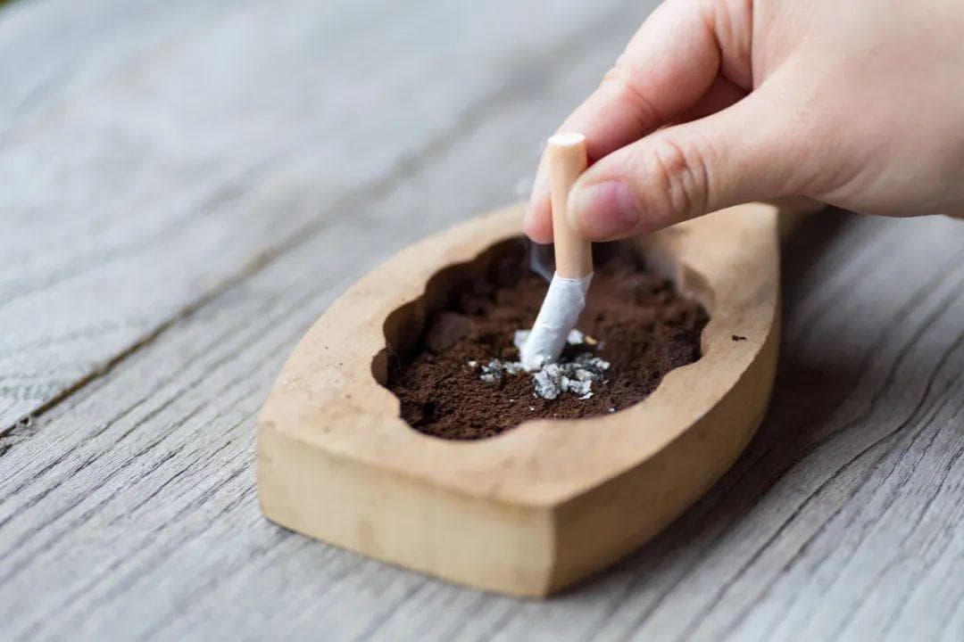 科学戒烟正逢其时，方法对才能健康更轻松
