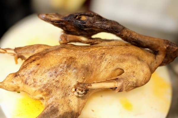 鹅肉是发物吗？中医角度解析其食用注意事项