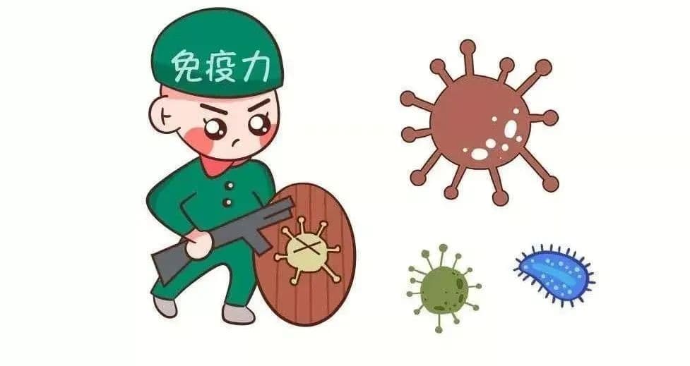 从喝水到晒太阳：10个增强免疫力的生活小习惯
