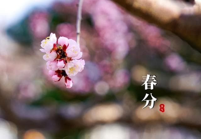 “先分后社，米谷如沙，先社后分，米谷如金”，今年春社是哪天？