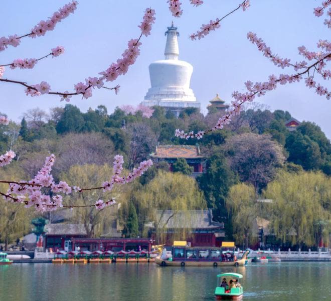 北京赏花时间大盘点：从三月到七月，错过等一年