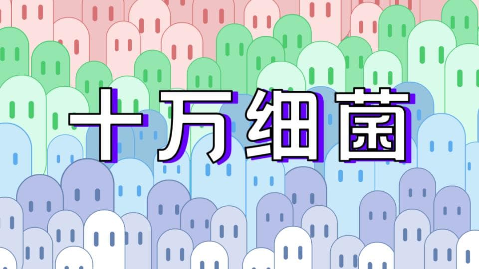 食品安全五要点之保持清洁