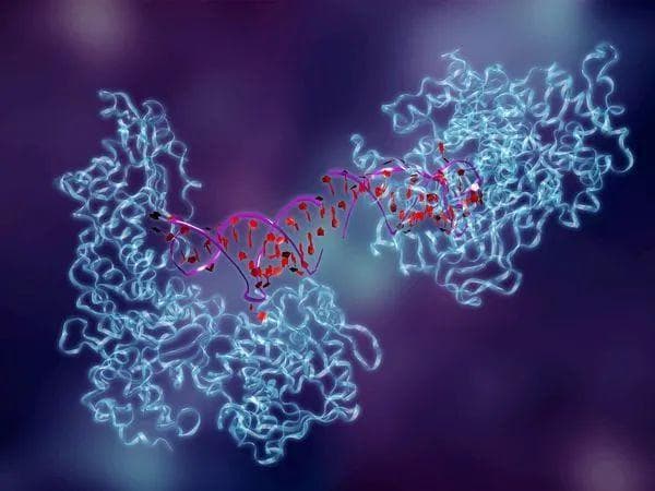 有关食物酶、消化酶和代谢酶最全面的解读，别再傻傻分不清楚。