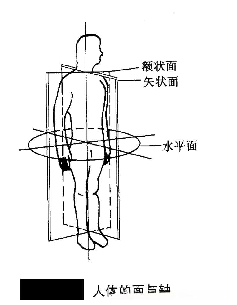 青少年基础体能训练指南