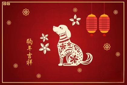 属狗的本命佛是什么？寓意与佩戴注意事项详解
