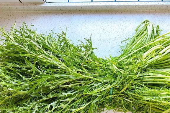 30年传承的雪里蕻腌制法：步骤详细，口感脆爽，储存久