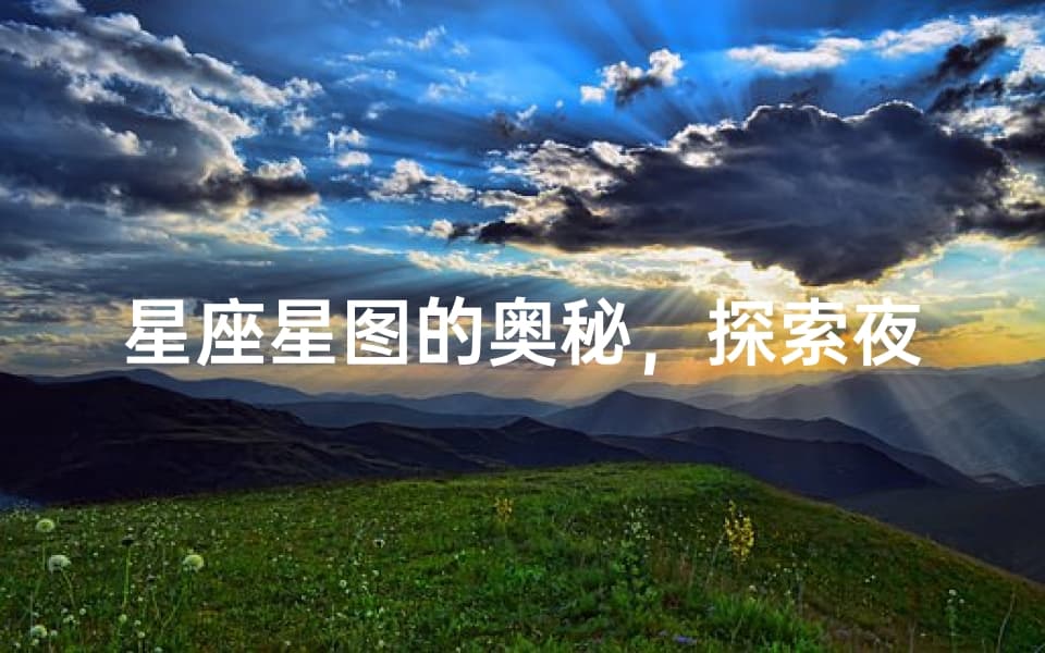 星座星图的奥秘，探索夜空的十二星座