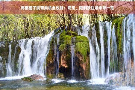 海南椰子乘机携带全攻略：数量、重量、包装有讲究