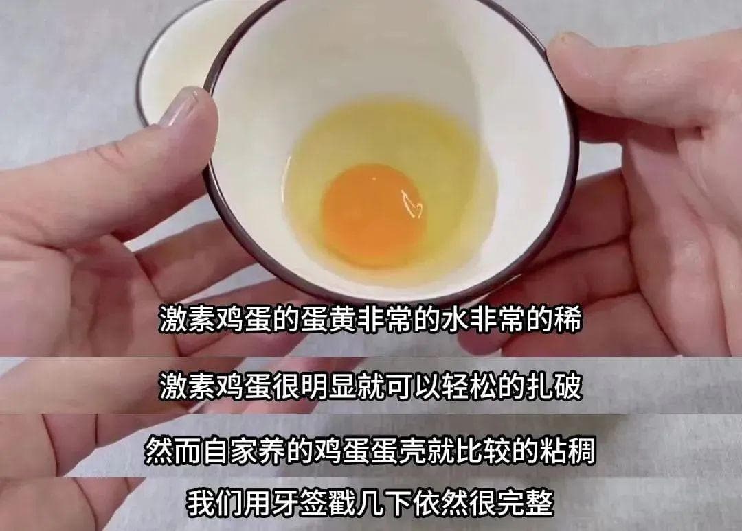 辟谣“人造蛋”，警惕“激素蛋”：鸡蛋选购全攻略