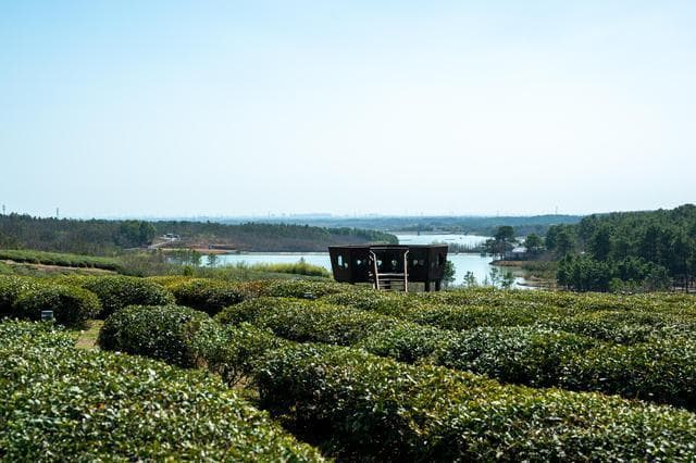 江苏溧阳1号公路：一条路串起两百处乡村美景