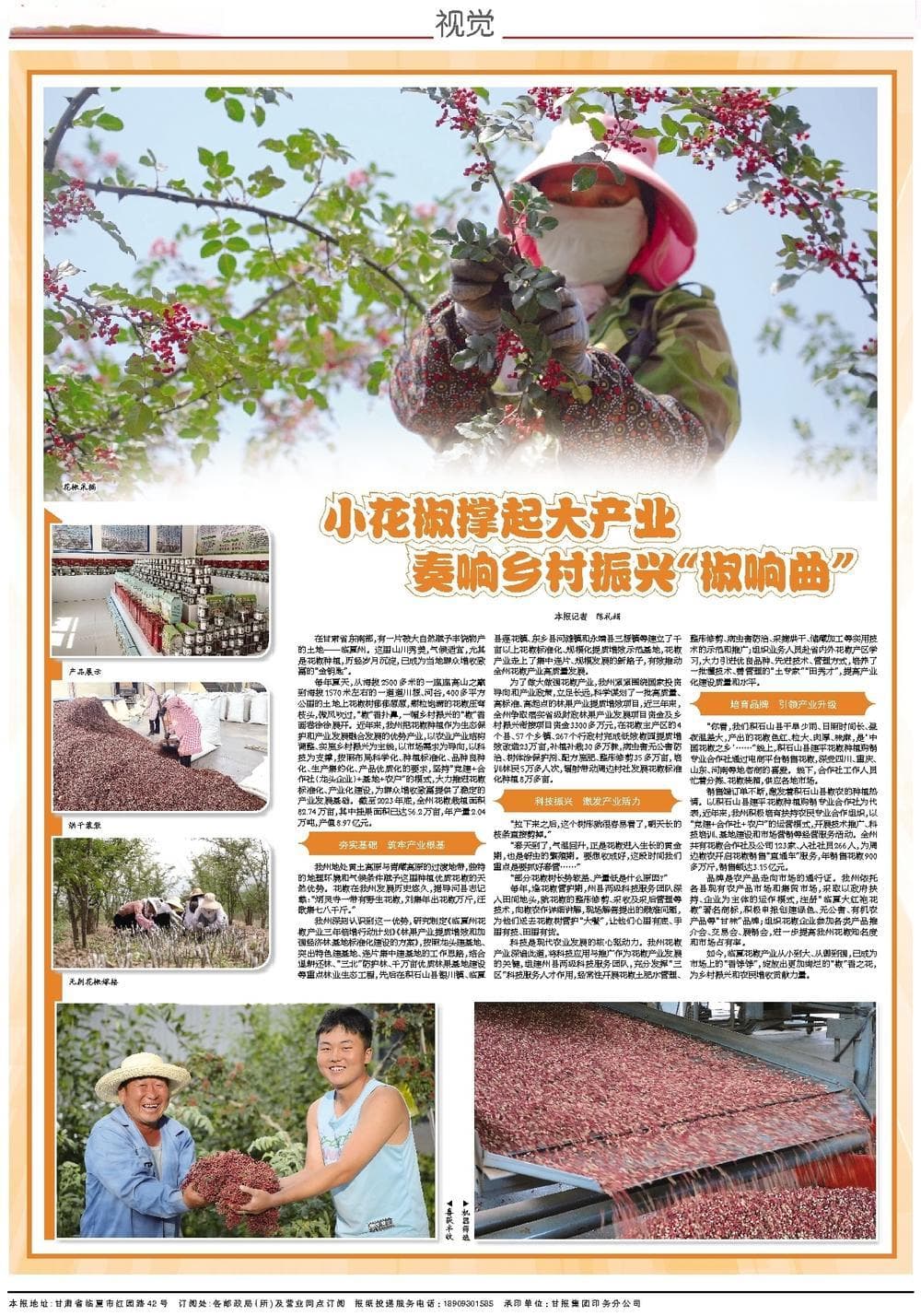 临夏州打造82万亩花椒基地，年产值超8亿元