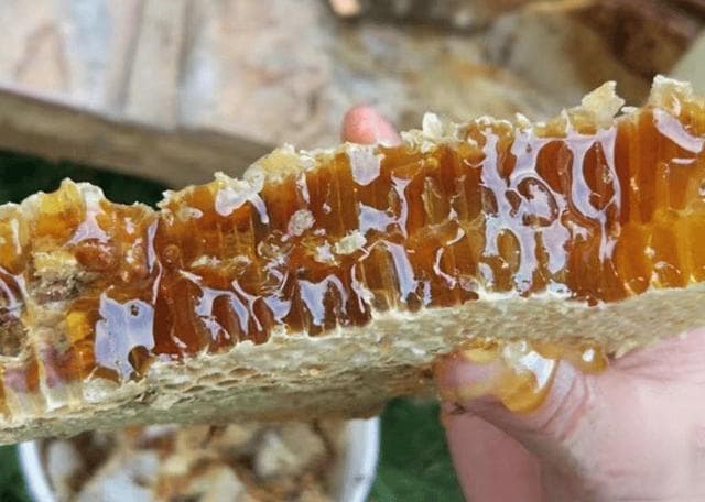 成熟蜜和不成熟蜜如何区别?如何区分成熟蜜和结晶蜜?