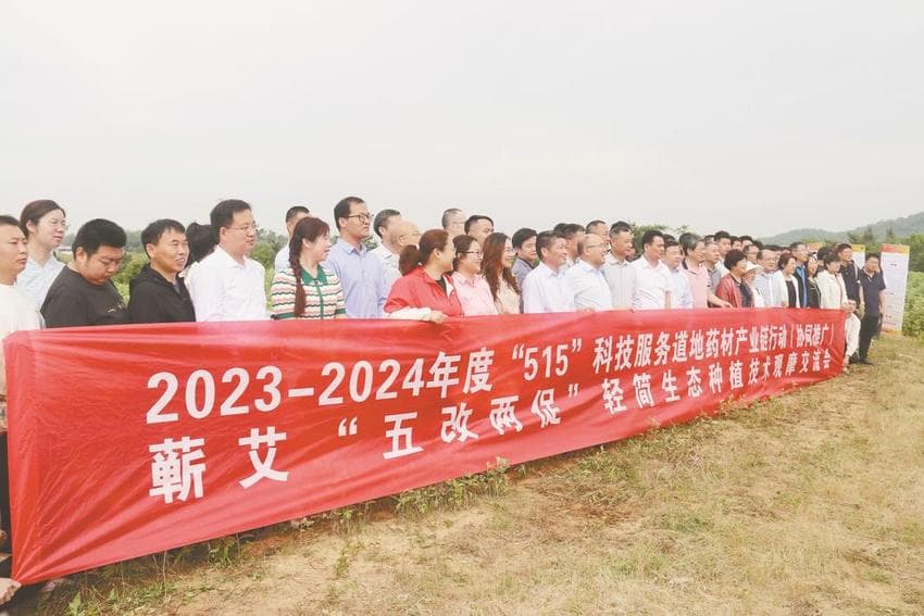 科技赋能，助力蕲艾产业冲刺千亿目标