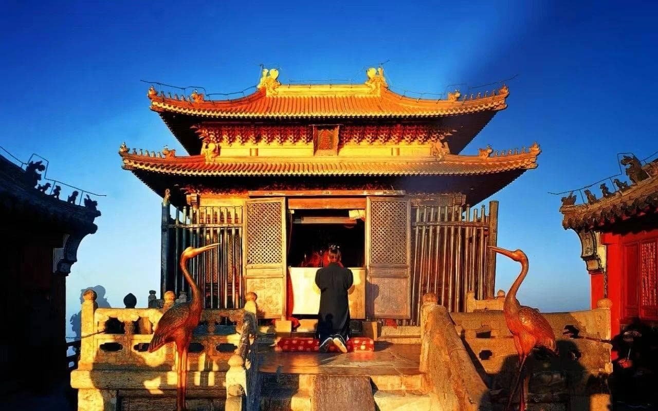 天罗地网在实践中的运用