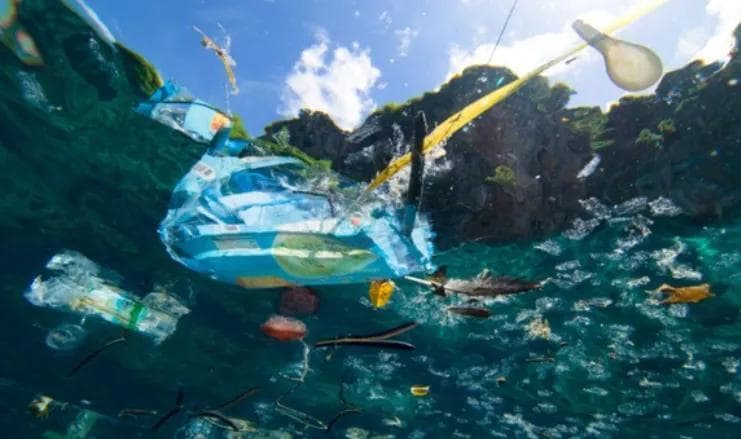 巴斯夫、苹果锁定热门赛道，生物基发泡包装开始“整活”了？