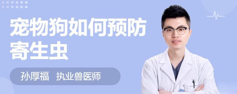 宠物狗如何预防寄生虫