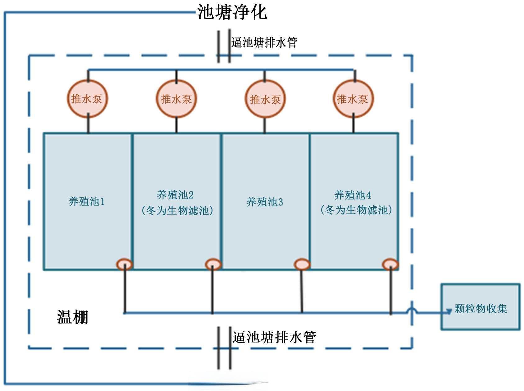 绿色养殖时代：大口黑鲈的创新与可持续养殖