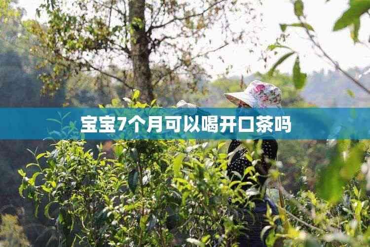 七个月宝宝能喝开口茶吗？专业医生这样说